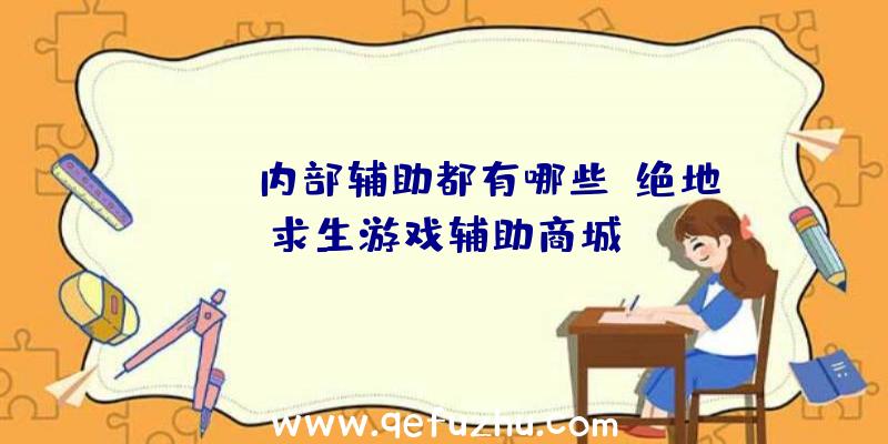 pubg内部辅助都有哪些、绝地求生游戏辅助商城