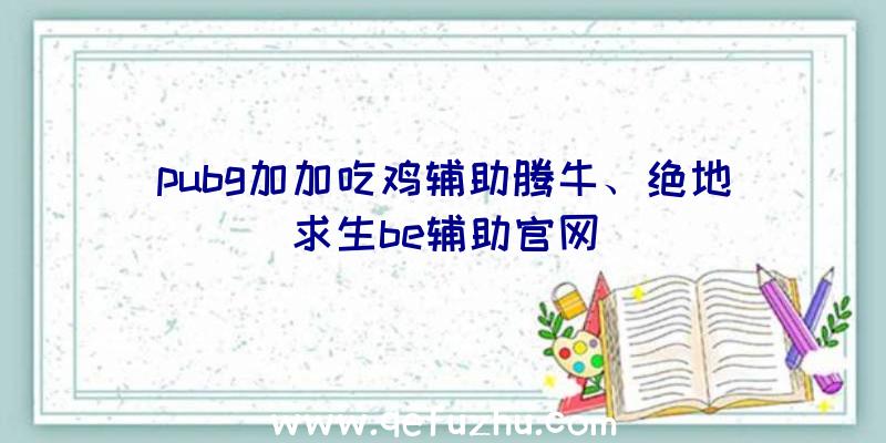 pubg加加吃鸡辅助腾牛、绝地求生be辅助官网