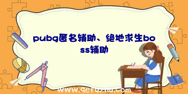 pubg匿名辅助、绝地求生boss辅助