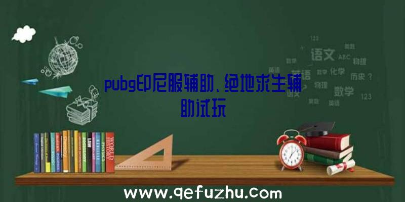 pubg印尼服辅助、绝地求生辅助试玩