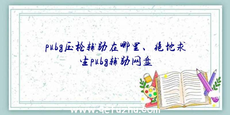 pubg压枪辅助在哪里、绝地求生pubg辅助网盘