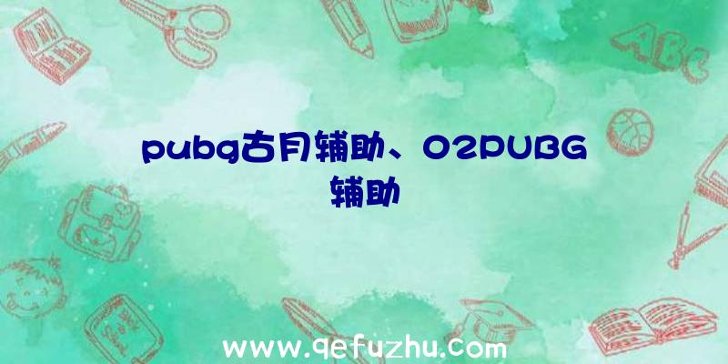 pubg古月辅助、02PUBG辅助