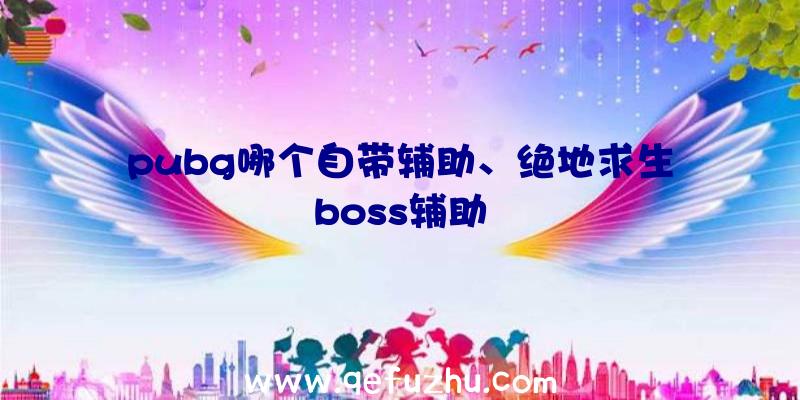 pubg哪个自带辅助、绝地求生boss辅助