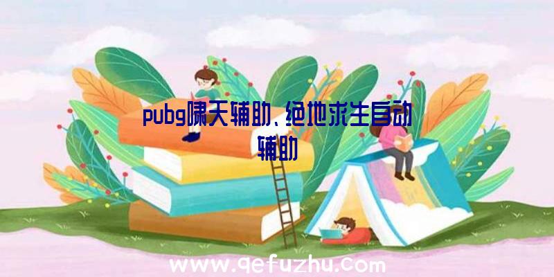 pubg啸天辅助、绝地求生自动辅助