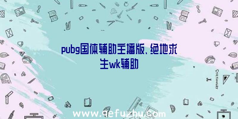 pubg国体辅助主播版、绝地求生wk辅助