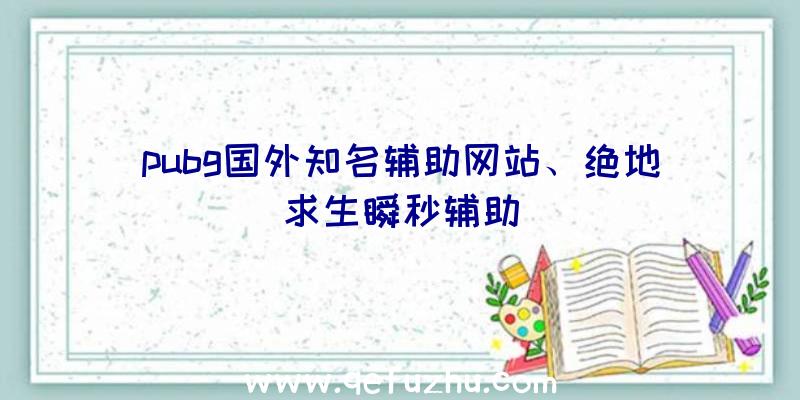 pubg国外知名辅助网站、绝地求生瞬秒辅助