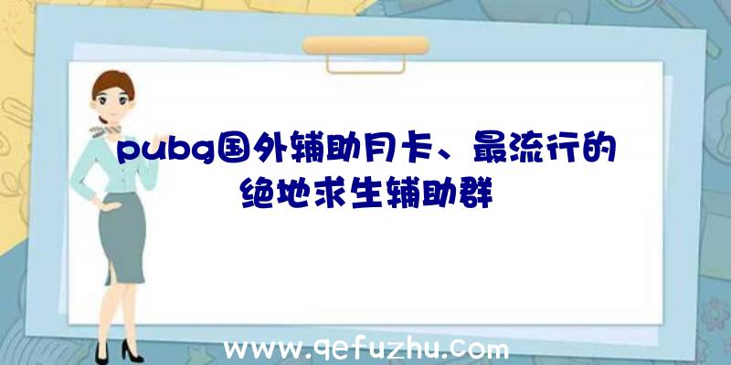 pubg国外辅助月卡、最流行的绝地求生辅助群