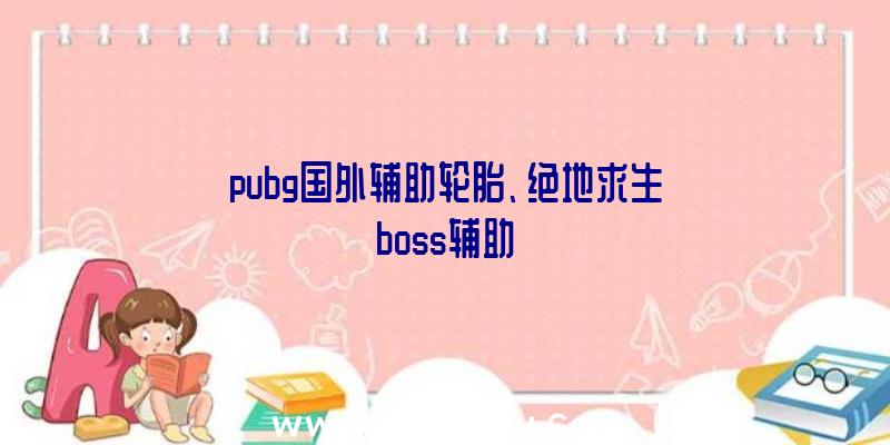 pubg国外辅助轮胎、绝地求生boss辅助