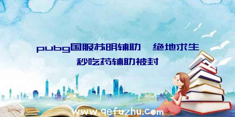 pubg国服苏明辅助、绝地求生秒吃药辅助被封