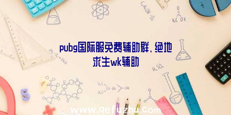 pubg国际服免费辅助群、绝地求生wk辅助