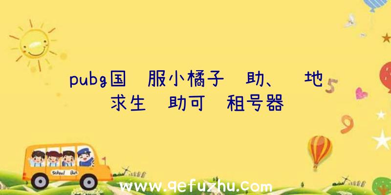 pubg国际服小橘子辅助、绝地求生辅助可过租号器