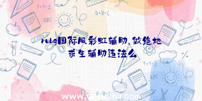 pubg国际服彩虹辅助、做绝地求生辅助违法么