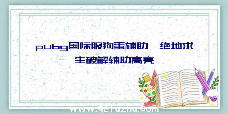 pubg国际服狗蛋辅助、绝地求生破解辅助高亮