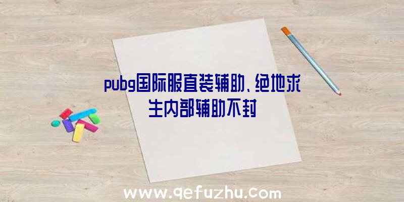 pubg国际服直装辅助、绝地求生内部辅助不封