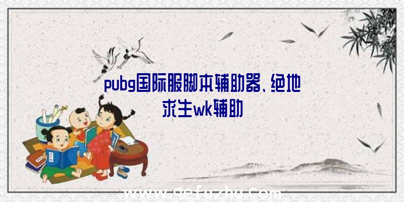 pubg国际服脚本辅助器、绝地求生wk辅助