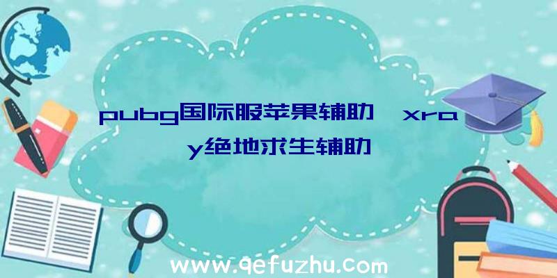 pubg国际服苹果辅助、xray绝地求生辅助