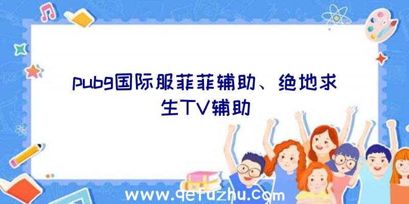 pubg国际服菲菲辅助、绝地求生TV辅助