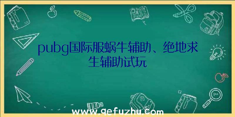 pubg国际服蜗牛辅助、绝地求生辅助试玩