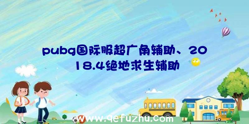 pubg国际服超广角辅助、2018.4绝地求生辅助