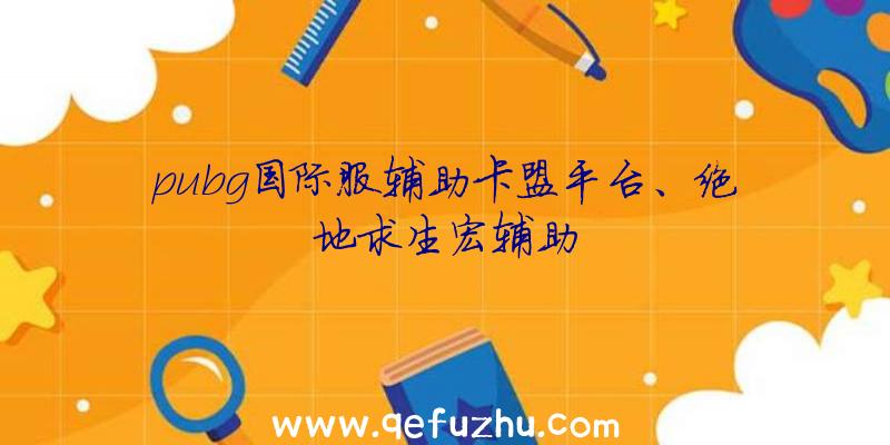 pubg国际服辅助卡盟平台、绝地求生宏辅助