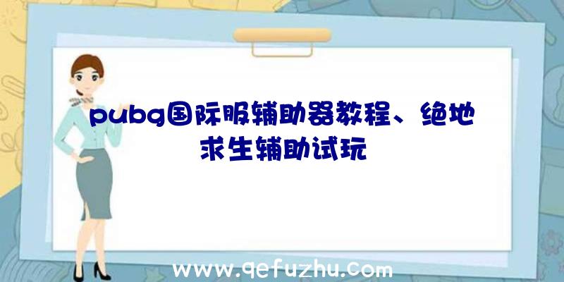 pubg国际服辅助器教程、绝地求生辅助试玩