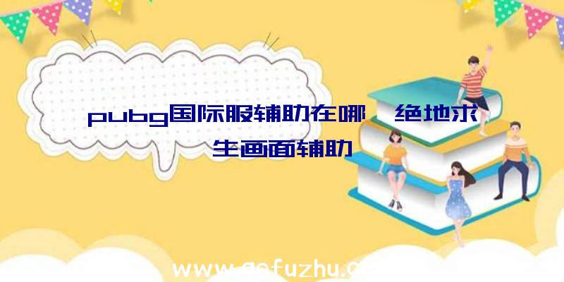 pubg国际服辅助在哪、绝地求生画面辅助