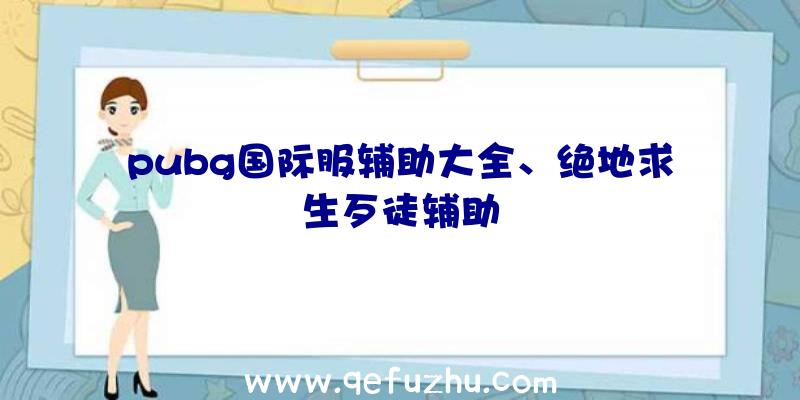 pubg国际服辅助大全、绝地求生歹徒辅助