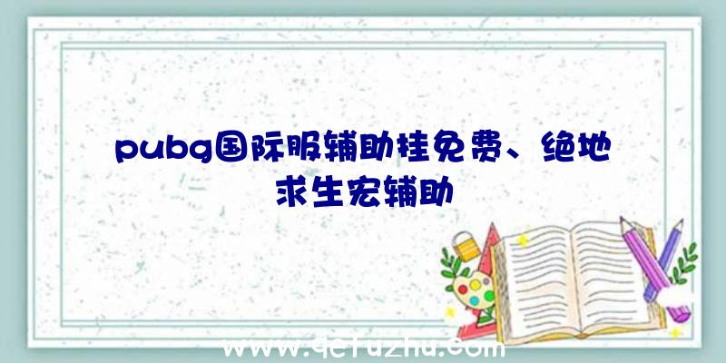 pubg国际服辅助挂免费、绝地求生宏辅助