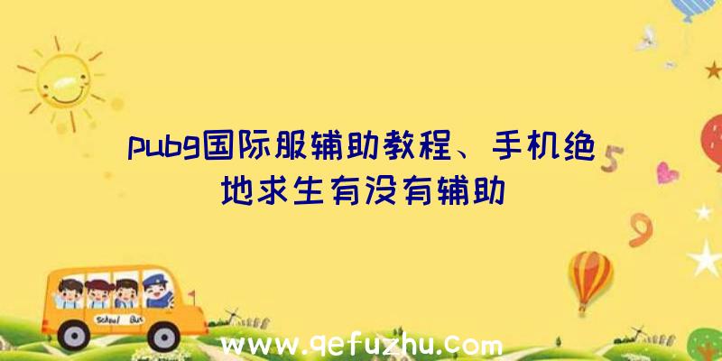 pubg国际服辅助教程、手机绝地求生有没有辅助