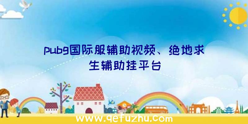 pubg国际服辅助视频、绝地求生辅助挂平台