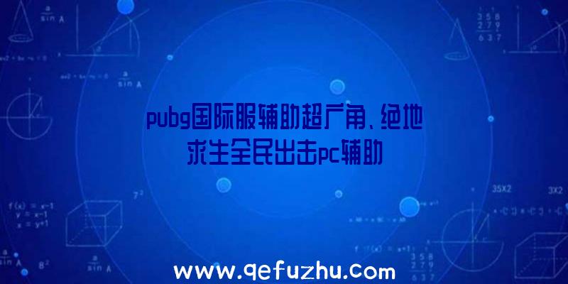 pubg国际服辅助超广角、绝地求生全民出击pc辅助