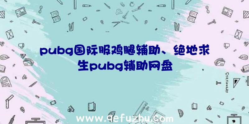 pubg国际服鸡腿辅助、绝地求生pubg辅助网盘