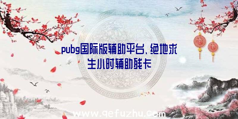 pubg国际版辅助平台、绝地求生小时辅助残卡