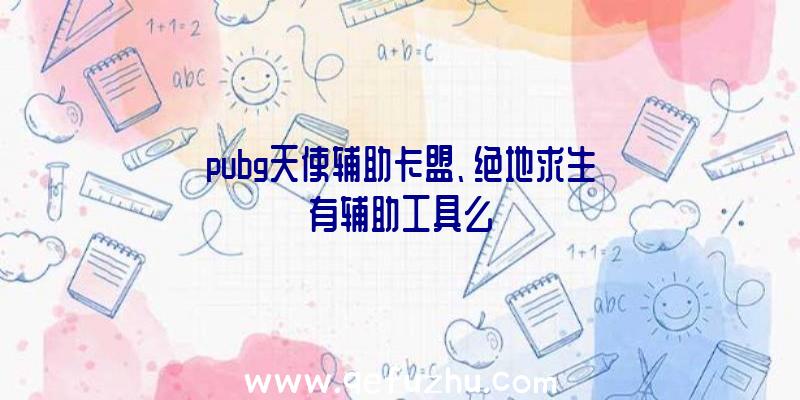 pubg天使辅助卡盟、绝地求生有辅助工具么