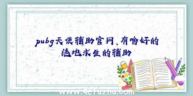 pubg天使辅助官网、有啥好的绝地求生的辅助