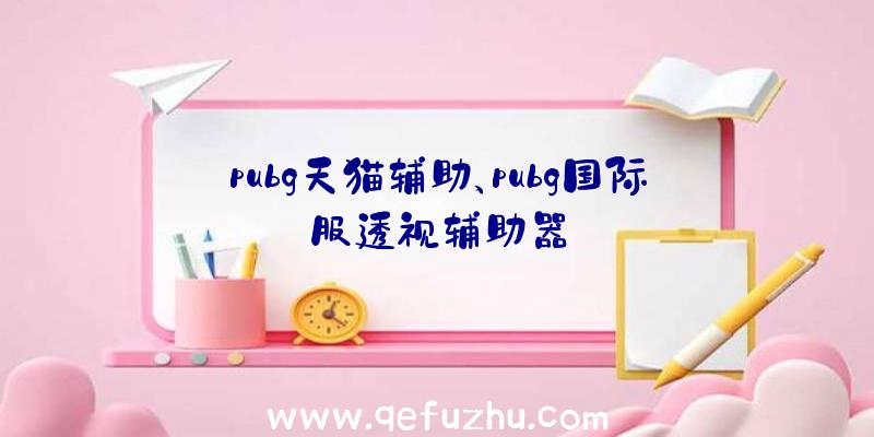 pubg天猫辅助、pubg国际服透视辅助器