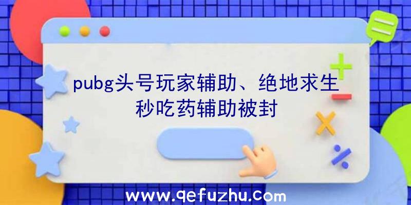 pubg头号玩家辅助、绝地求生秒吃药辅助被封