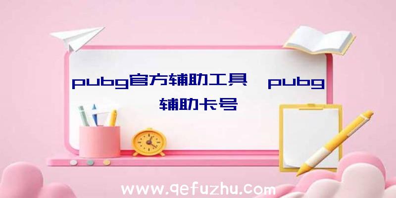 pubg官方辅助工具、pubg辅助卡号