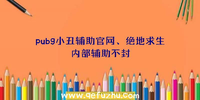 pubg小丑辅助官网、绝地求生内部辅助不封