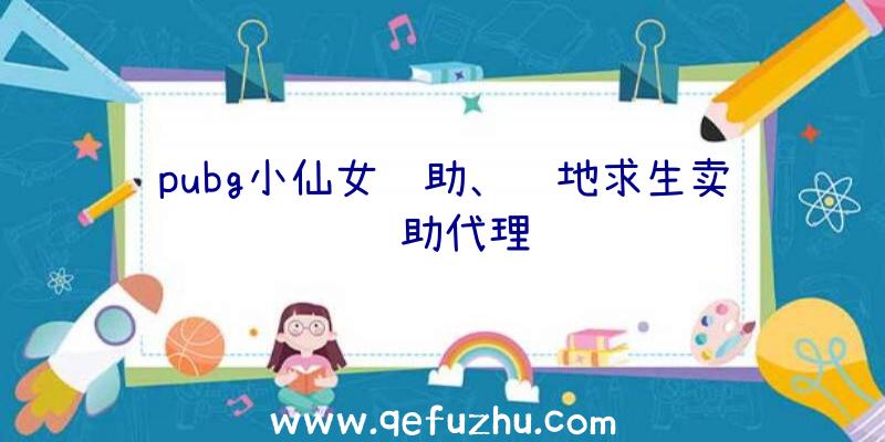 pubg小仙女辅助、绝地求生卖辅助代理