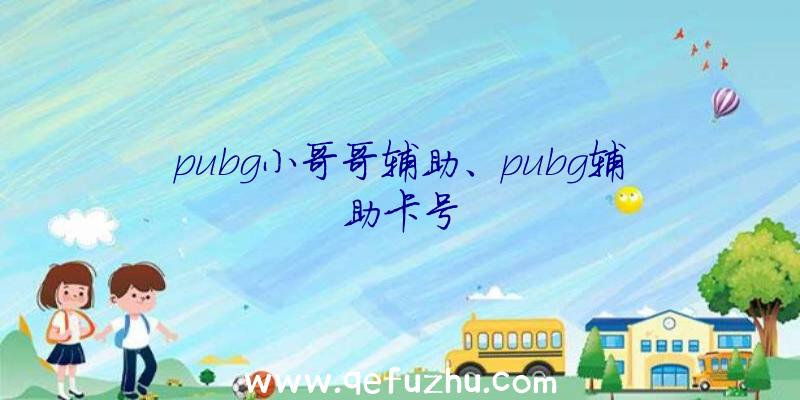 pubg小哥哥辅助、pubg辅助卡号