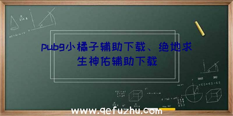 pubg小橘子辅助下载、绝地求生神佑辅助下载