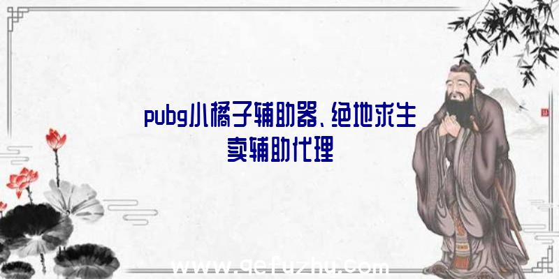 pubg小橘子辅助器、绝地求生卖辅助代理