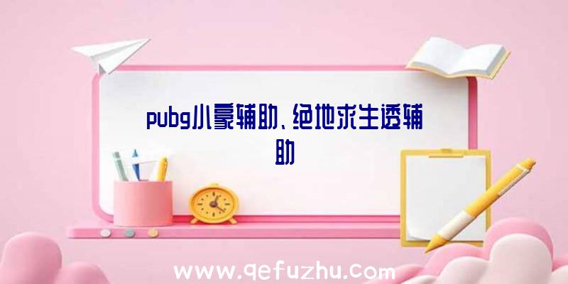 pubg小豪辅助、绝地求生透辅助