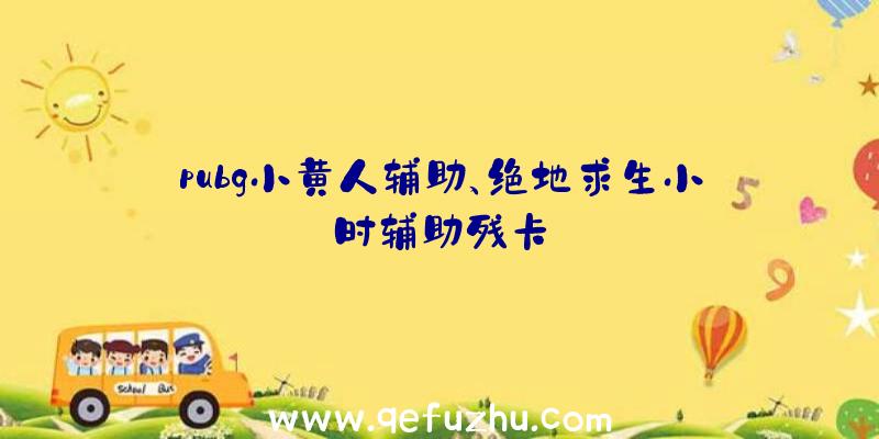 pubg小黄人辅助、绝地求生小时辅助残卡