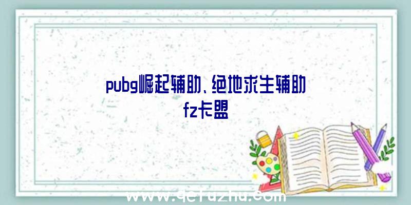 pubg崛起辅助、绝地求生辅助fz卡盟