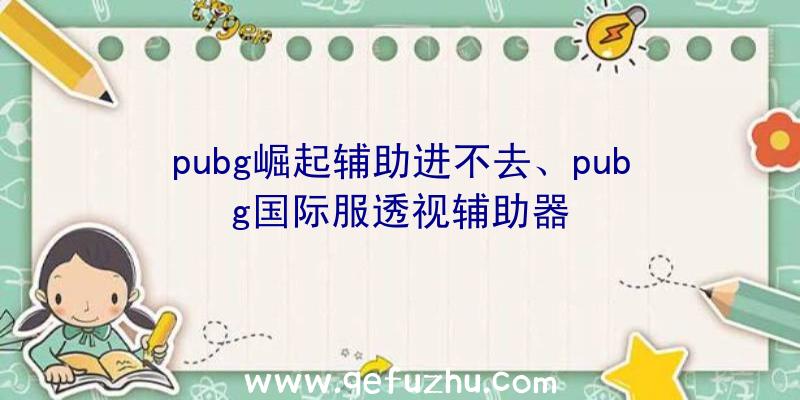 pubg崛起辅助进不去、pubg国际服透视辅助器