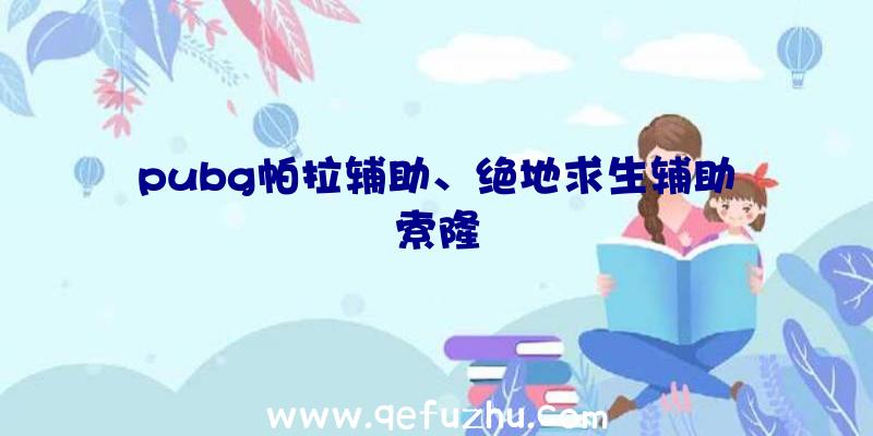 pubg帕拉辅助、绝地求生辅助索隆