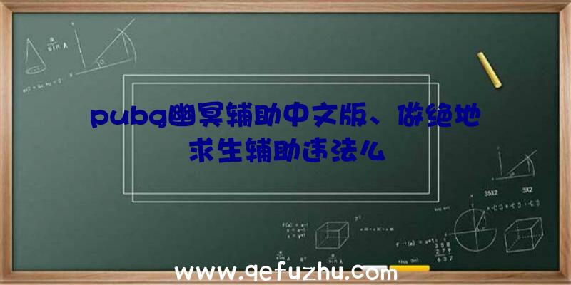 pubg幽冥辅助中文版、做绝地求生辅助违法么