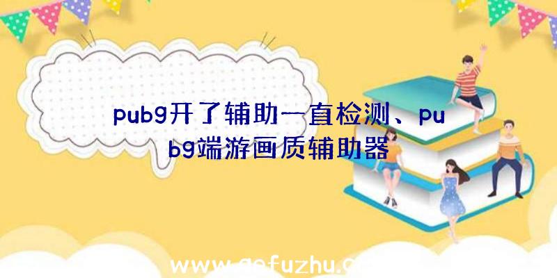 pubg开了辅助一直检测、pubg端游画质辅助器